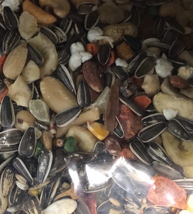 Birds By Joe Parrot Blend 5 LB