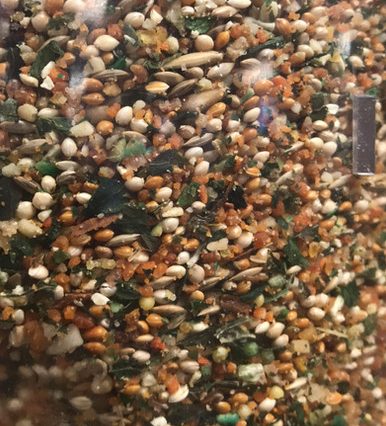 Birds By Joe Small/LB