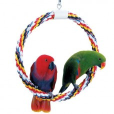Circle Swing And Perch