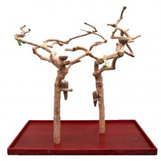 Double Java Tree With Carving