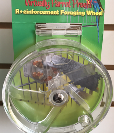 Foraging Wheel