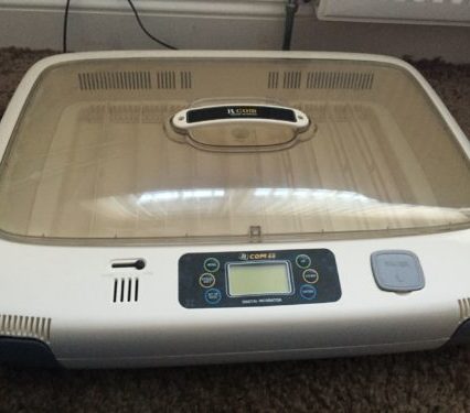 R-Com 50 Incubator Hatching Fertile Macaw Eggs